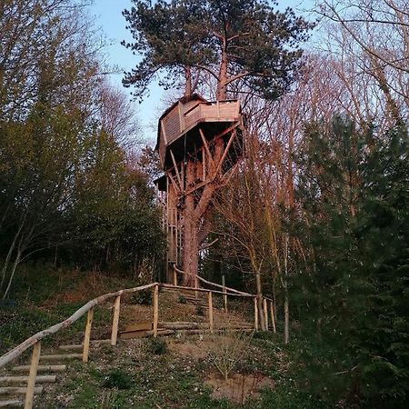 Sherwood Tree Etretat Exterior photo